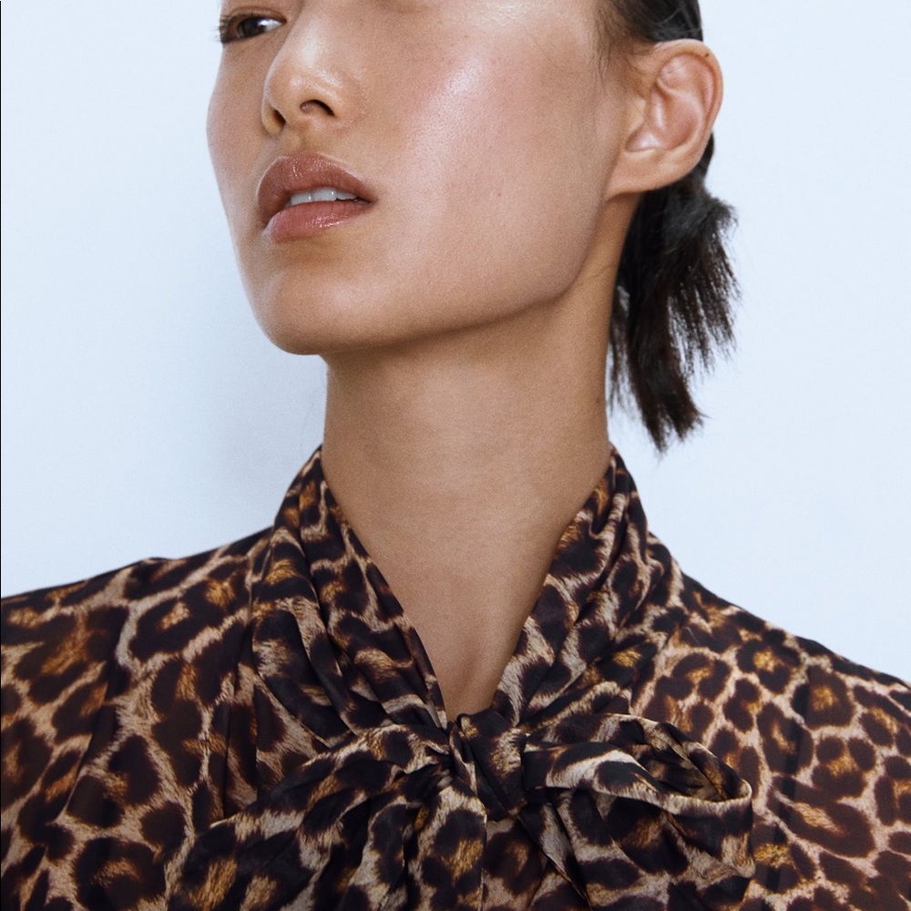 Zara animal print dress - Picture 5 of 9